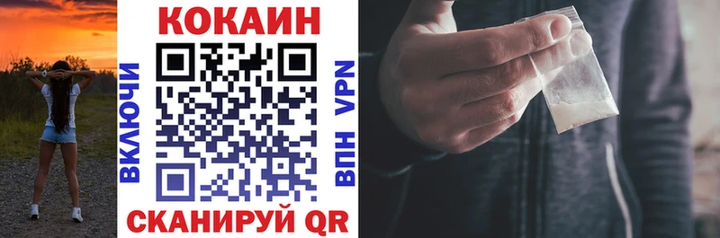 где продают наркотики  MEGA   это официальный сайт  Ессентуки  Кокаин Fish Scale 