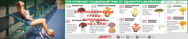 mdma Верея