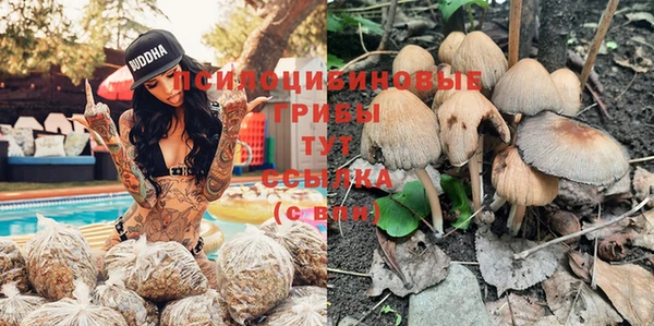 mdma Верея