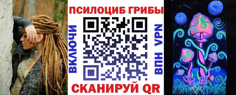 OMG как зайти  Ессентуки  Псилоцибиновые грибы Magic Shrooms 